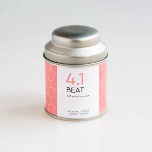 4.1 BEAT